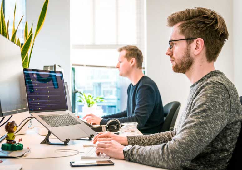 People working at desk